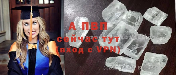 ПСИЛОЦИБИНОВЫЕ ГРИБЫ Лихославль