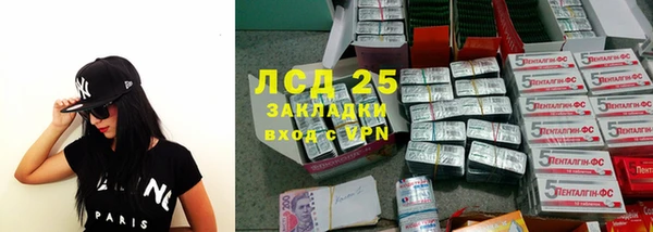 трава Магас