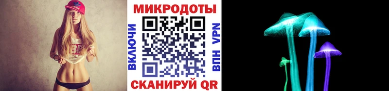 Псилоцибиновые грибы Psilocybe  Таштагол 